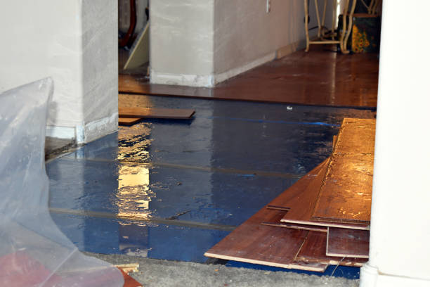 Professional Emergency Water Damage Restoration technician working in Albany, NY
